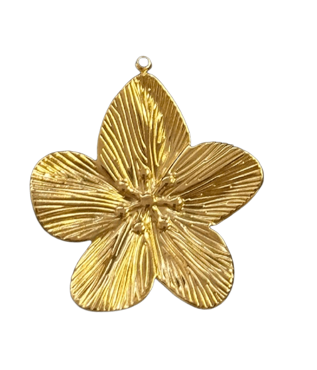 Collar Nua