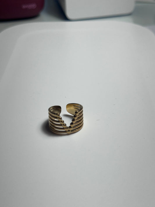 Anillo V