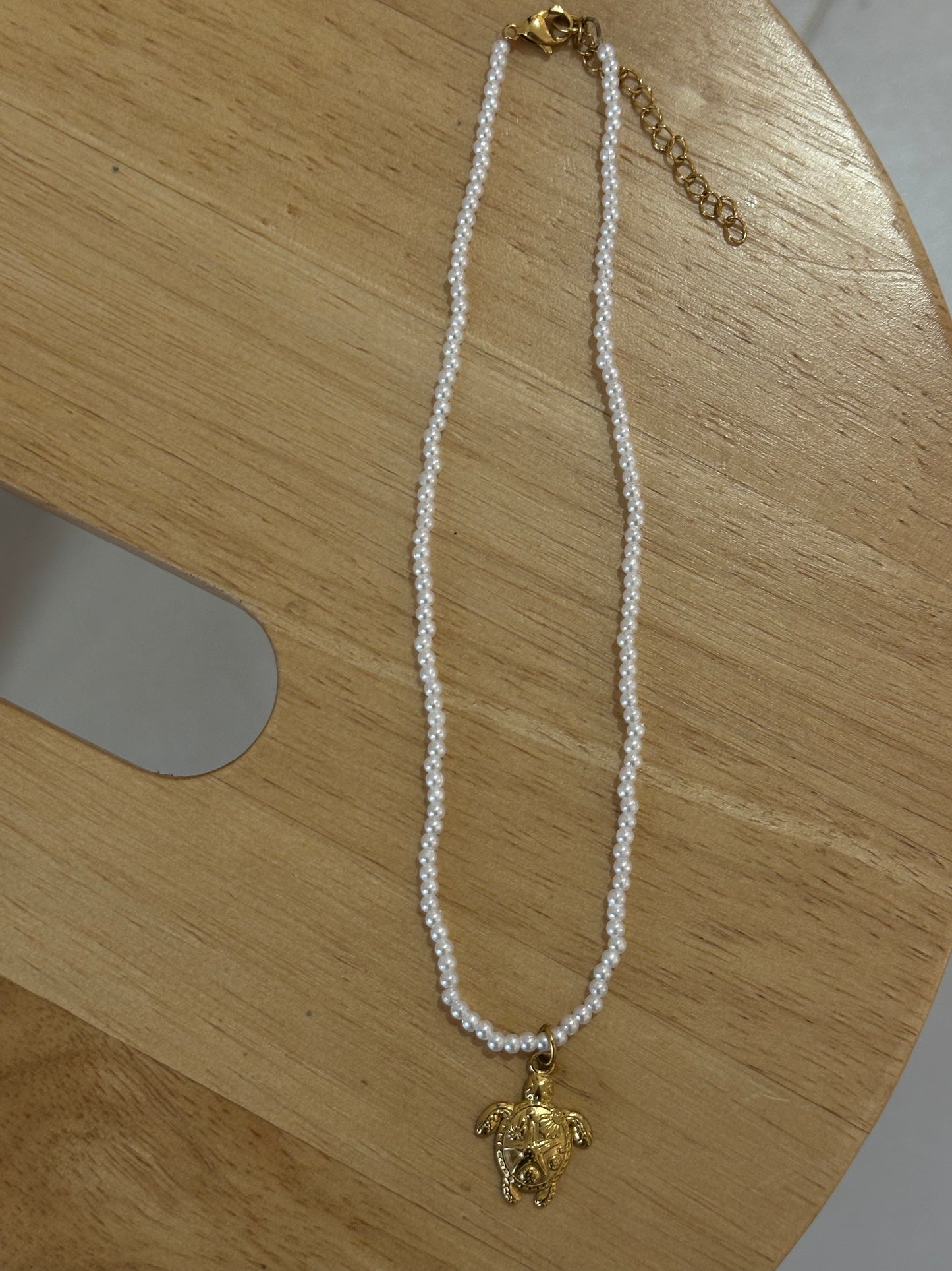 Collar tortuga